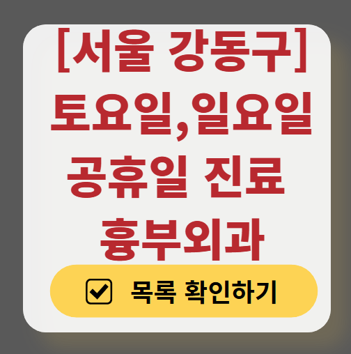 서울 강동구 주말 토요일 일요일 흉부외과 진료 병원 목록 ❘ 공휴일 진료 영업 병원 리스트 찾기
