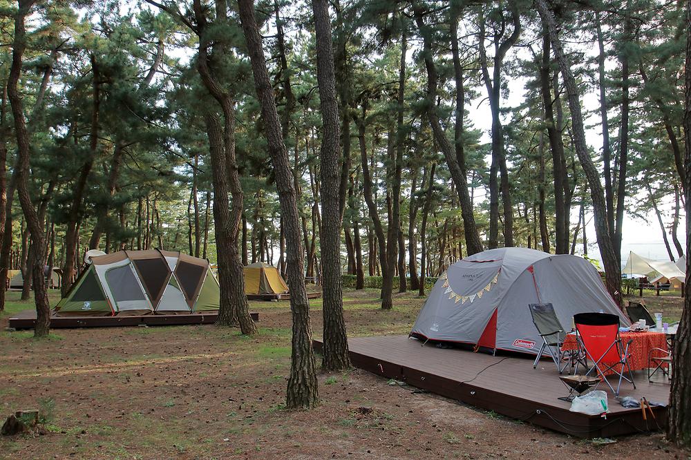 솔향기캠핑장

주소 강원 강릉시 연곡면 해안로 1282-10