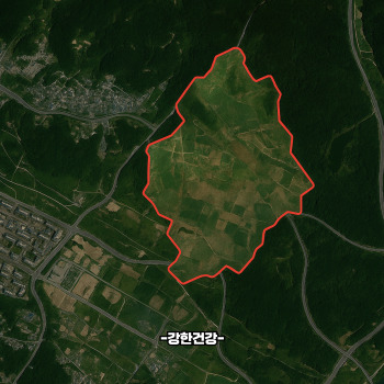 대장동 항소 포기