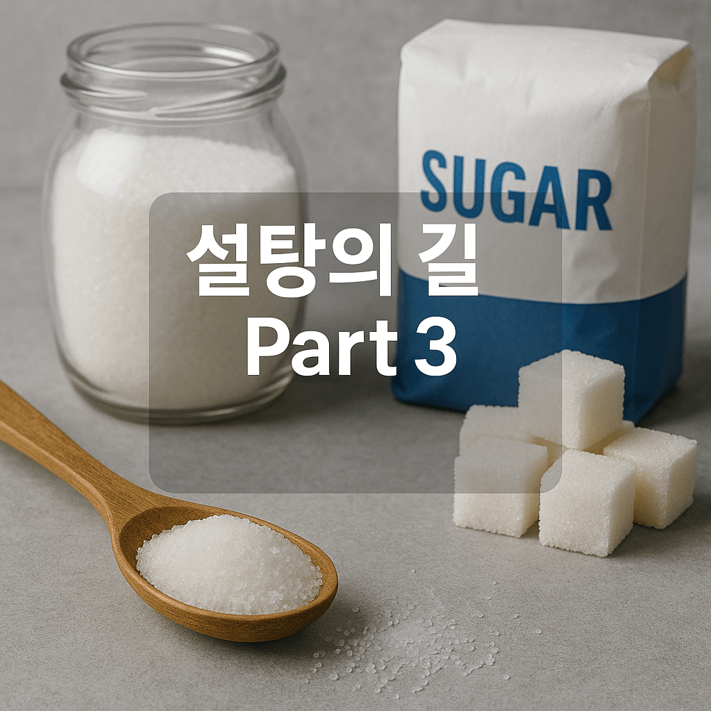 설탕의 길 경제,건강문제까지