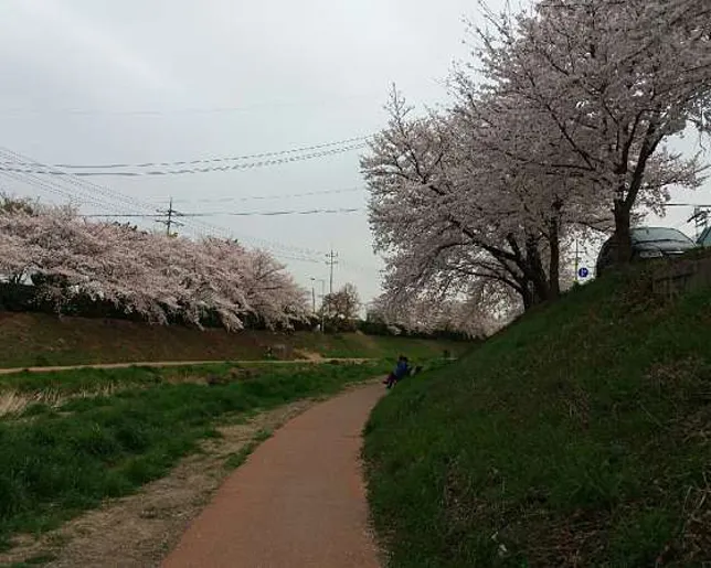 시디즈 안산상록점