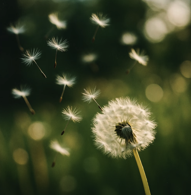 &amp;#39;터뜨리기&amp;#39;가 부르는 끔찍한 대참사