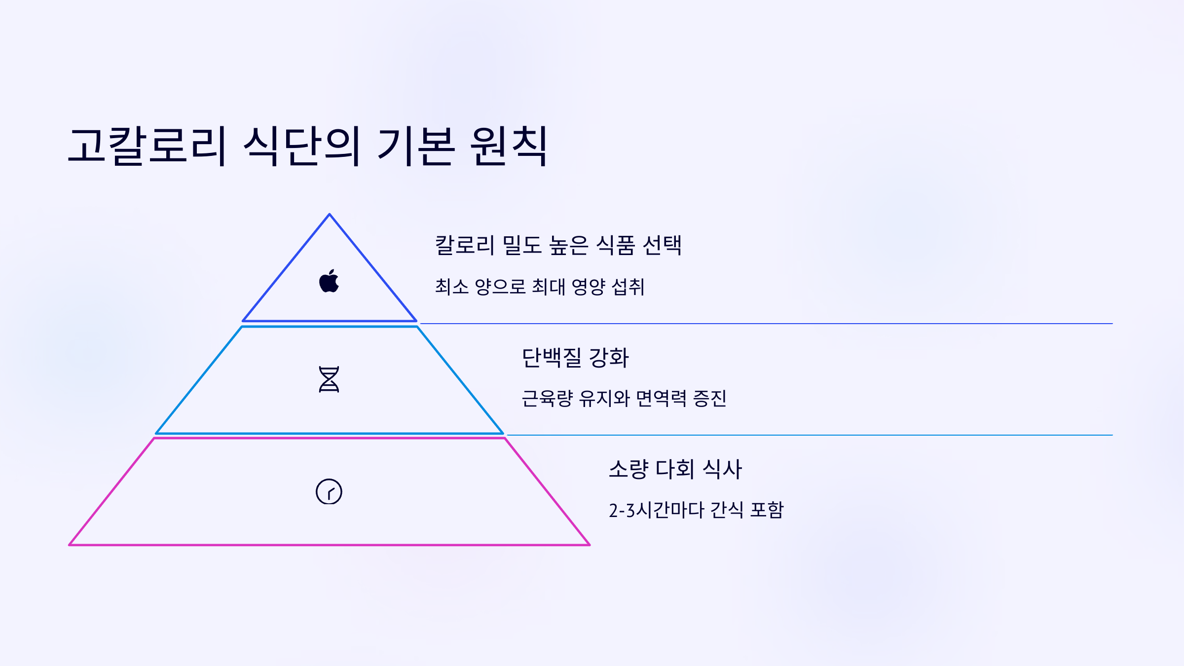 암치료 중 고칼로리식단의 원칙