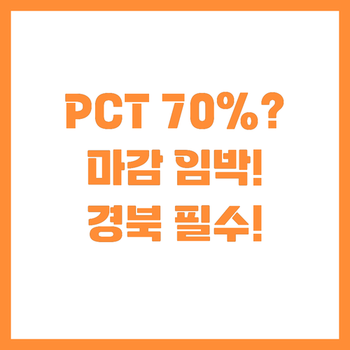 경북 기업 PCT 출원비용 70% 지..