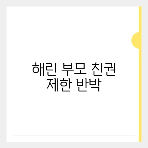 해린 부모 친권 제한 반박, 뉴진수 관련 정리