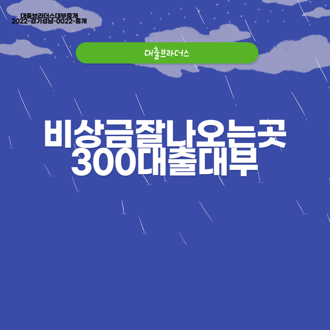 300대출대부