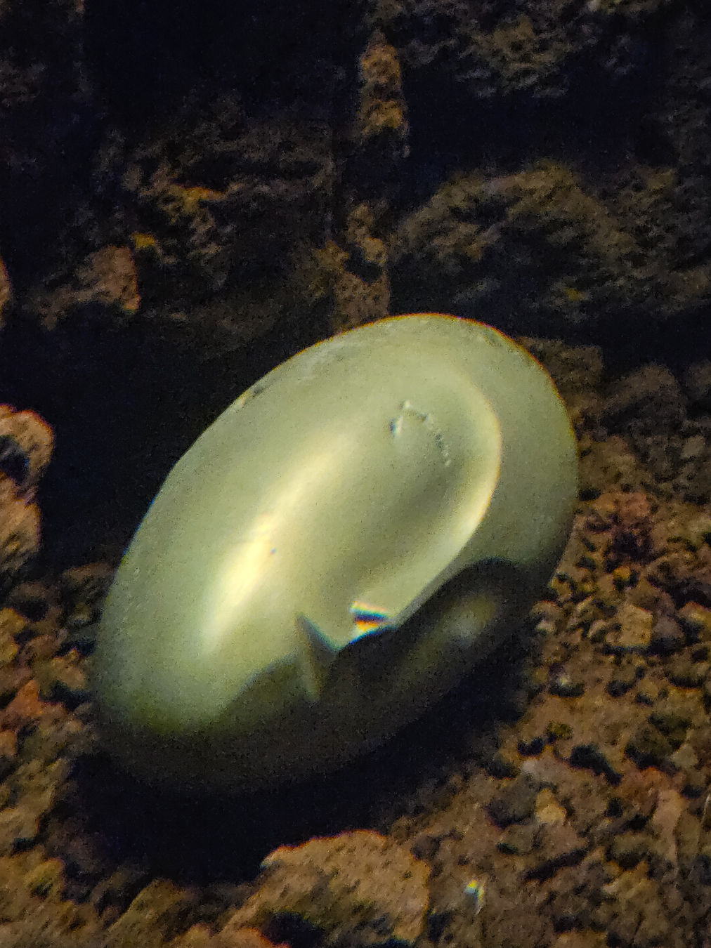 리움 미술관 피에르위그 주드람