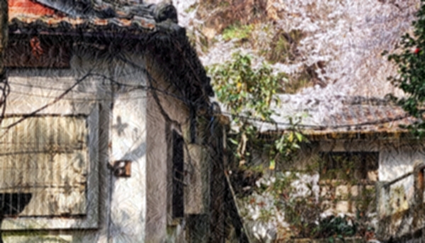 농촌 빈집 정비법