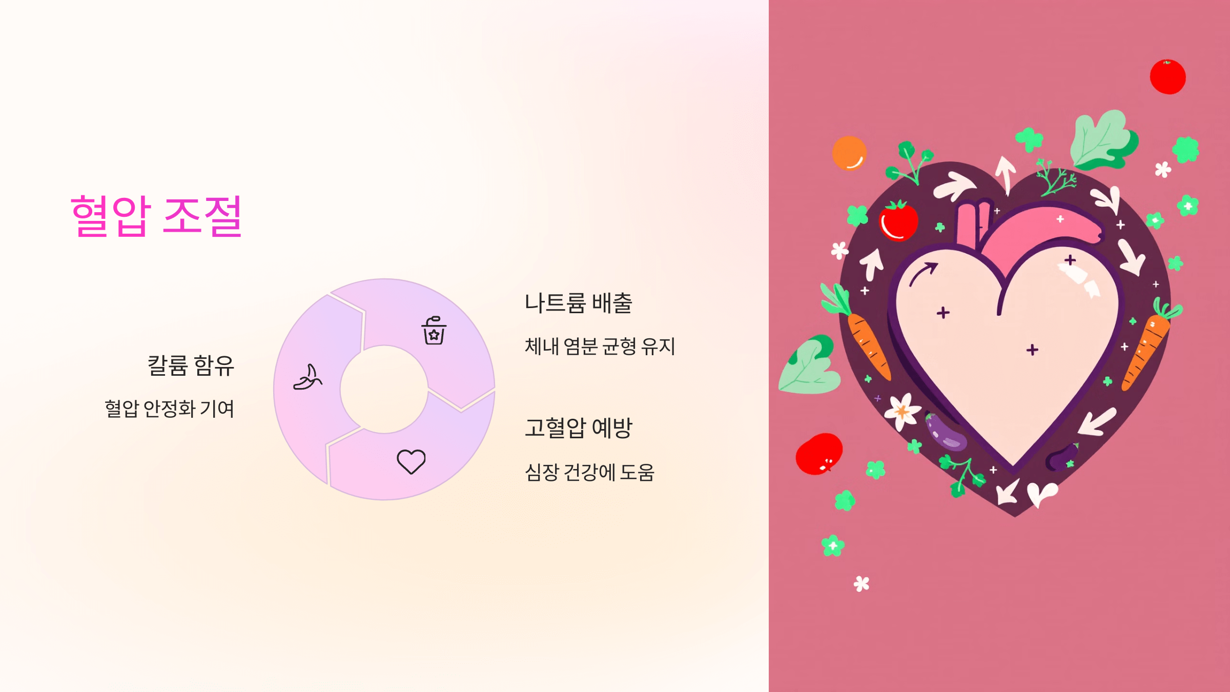 콜라비 사진입니다.