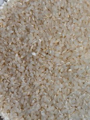 크림 리조또 만들기