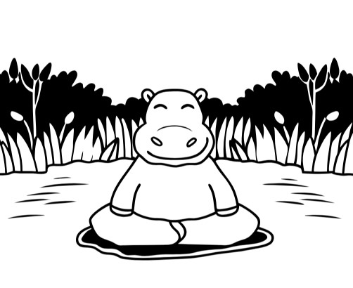 명상을 하는 하마