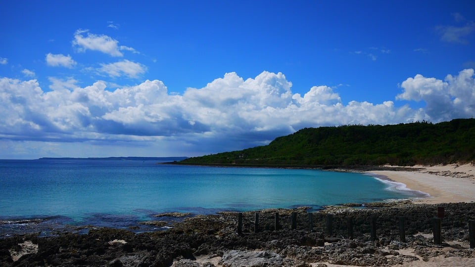 1월 대만 날씨 완벽 가이드! 여행 준비물 필수 팁