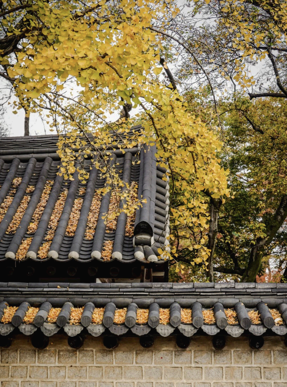 한옥의 창호 문은 왜 소리를 흡수하는가? – 자연 방음 시스템