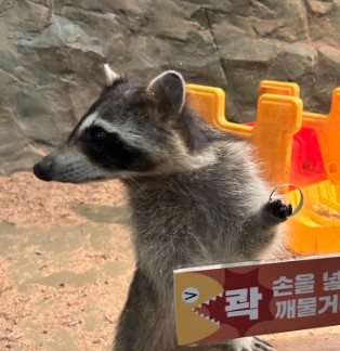 제주 비올때 가볼만한 곳