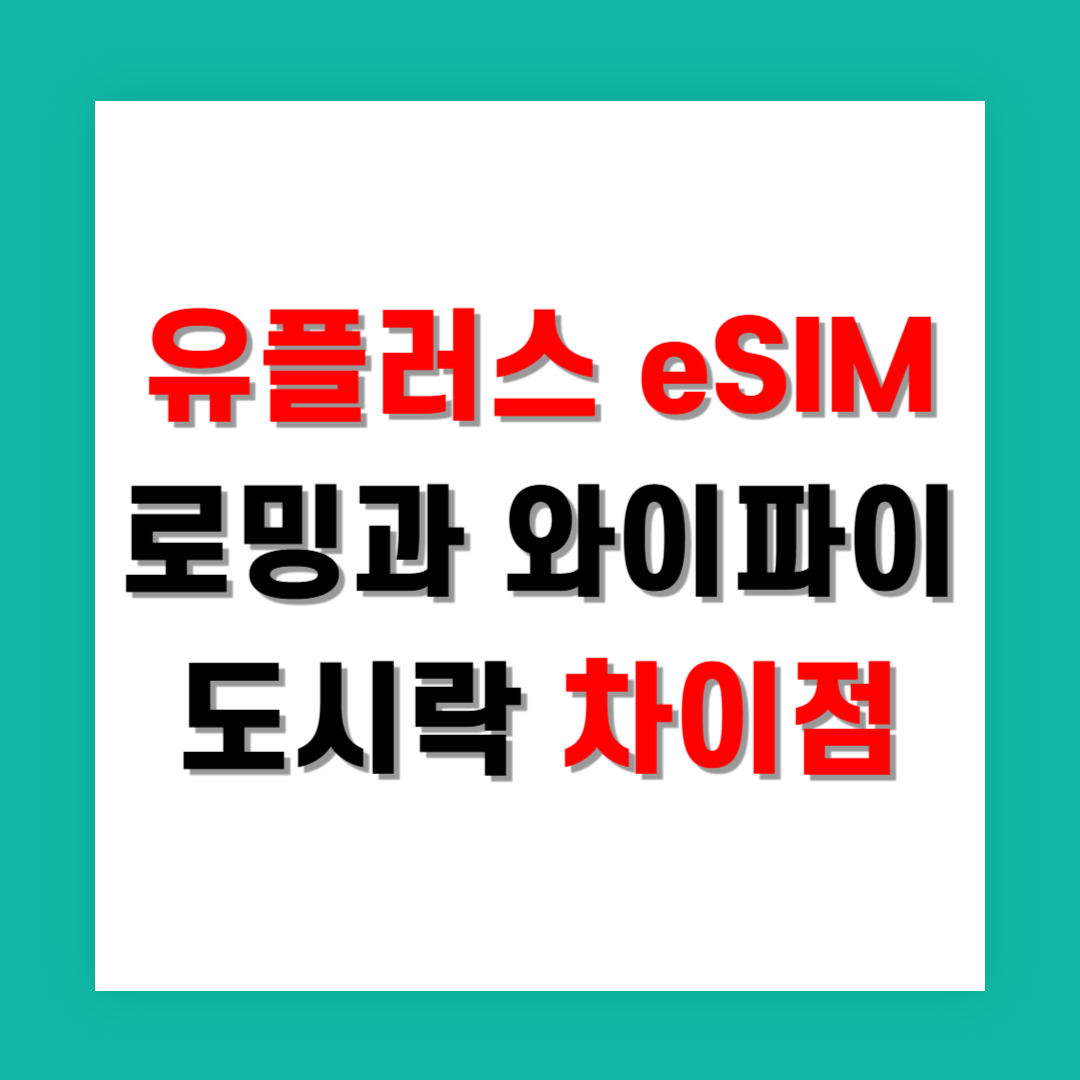 유플러스 eSIM 로밍과 와이파이 도시락 차이점