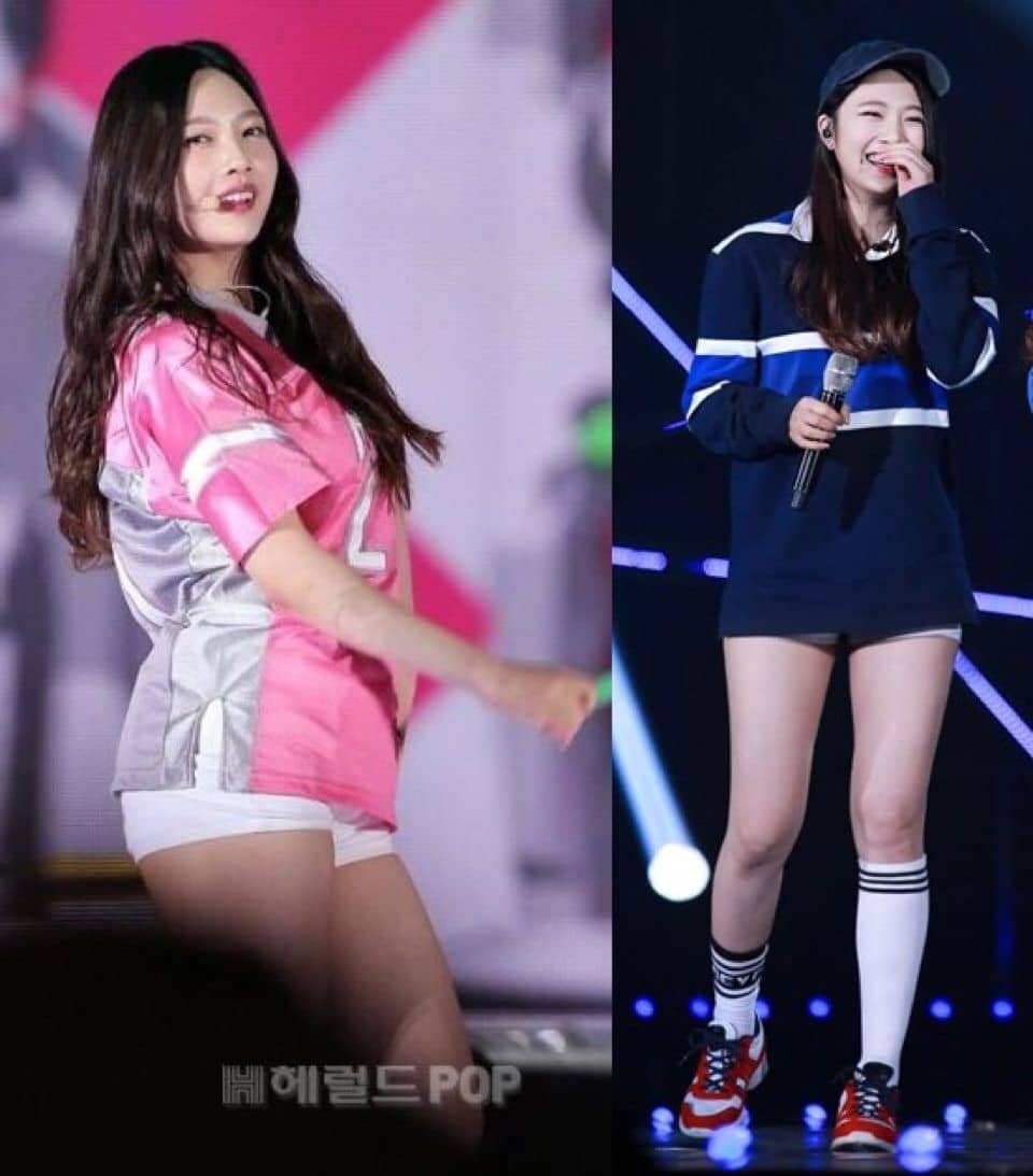 가수 조이, 조이 다이어트