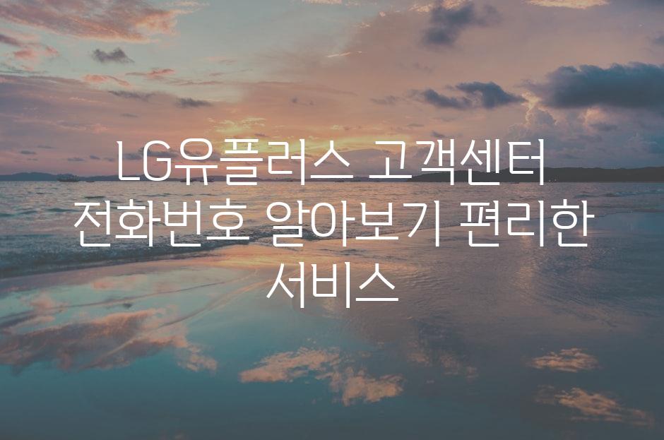 샘플 (81)