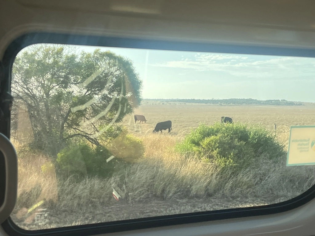 서호주 퍼스여행