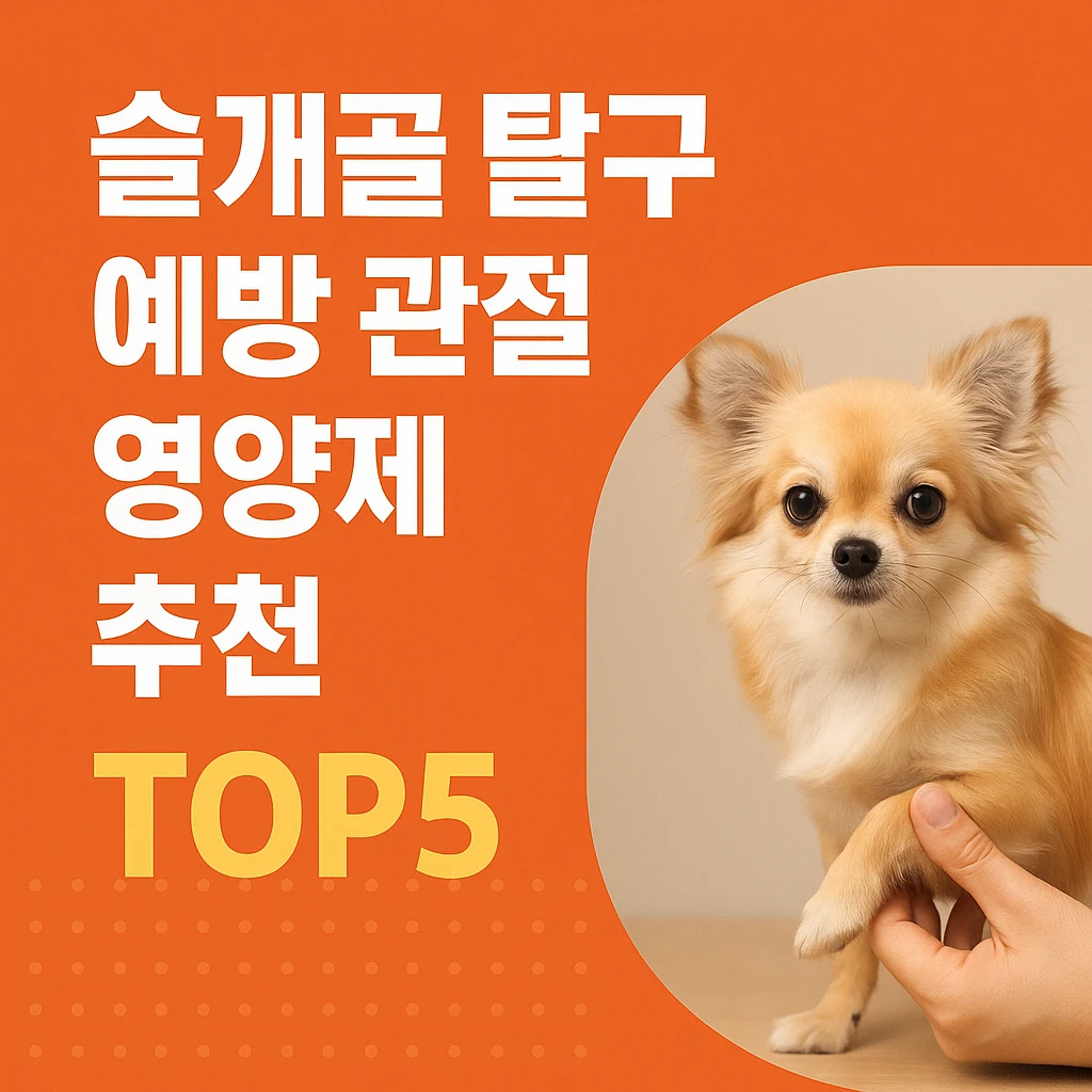 소형견 필독! 슬개골 탈구 예방 관절 영양제 추천 TOP5