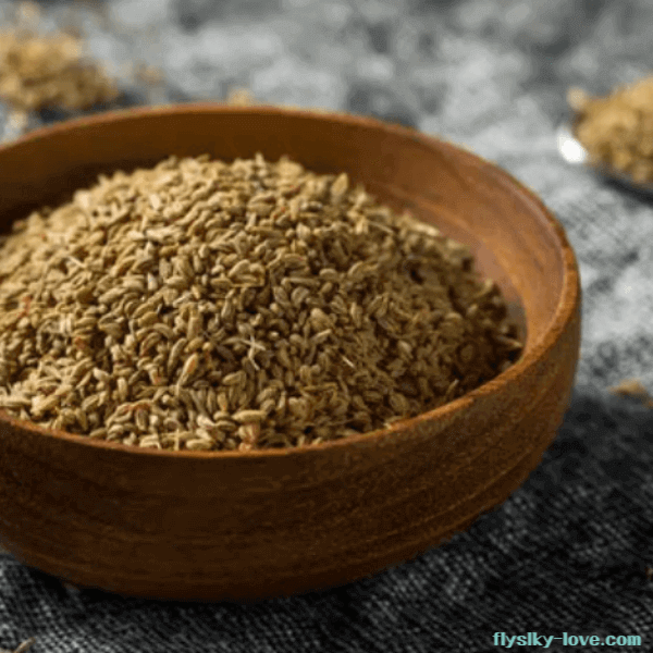 약용 성분이 풍부한 캐롬 씨앗