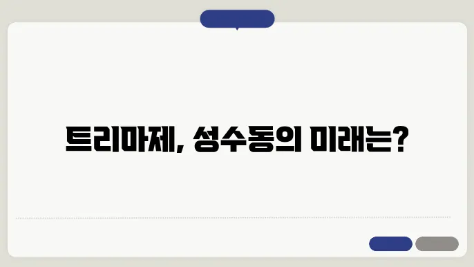 트리마제, 성수동의 럭셔리 아파트 시장에서의 전망