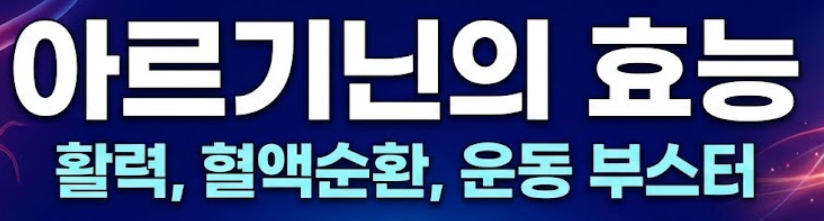 아르기닌 효능