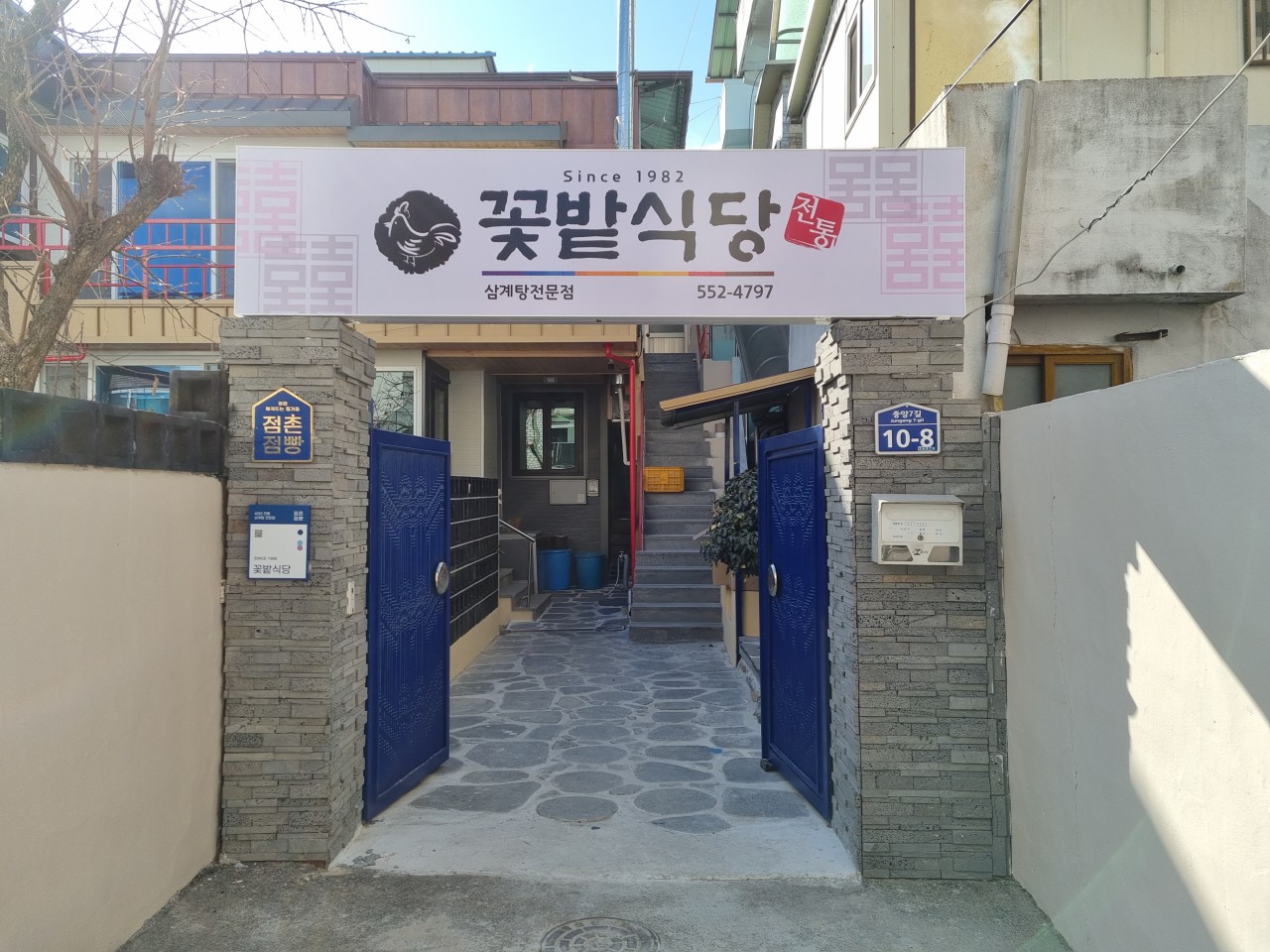 생방송 투데이 삼계탕