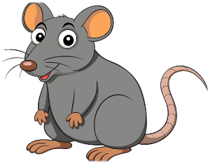 10월 띠별 운세 이달의 운세 월간운세 별자리운세