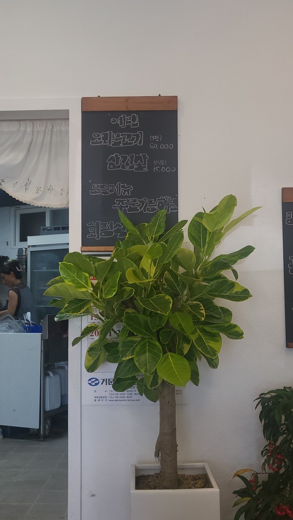 거문도섬 해오름식당 메뉴판