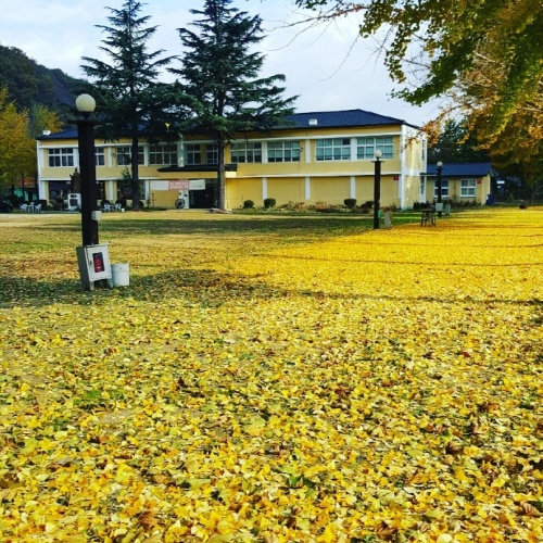 잉카마야_박물관_캠핑장
