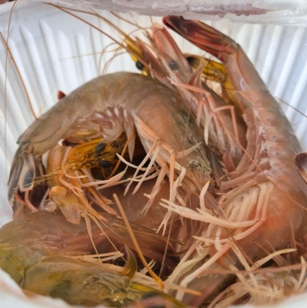 전현무계획-보령-새우탕-영준네