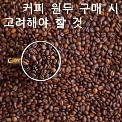 제목_원두 구매시 고려해야 할 것들