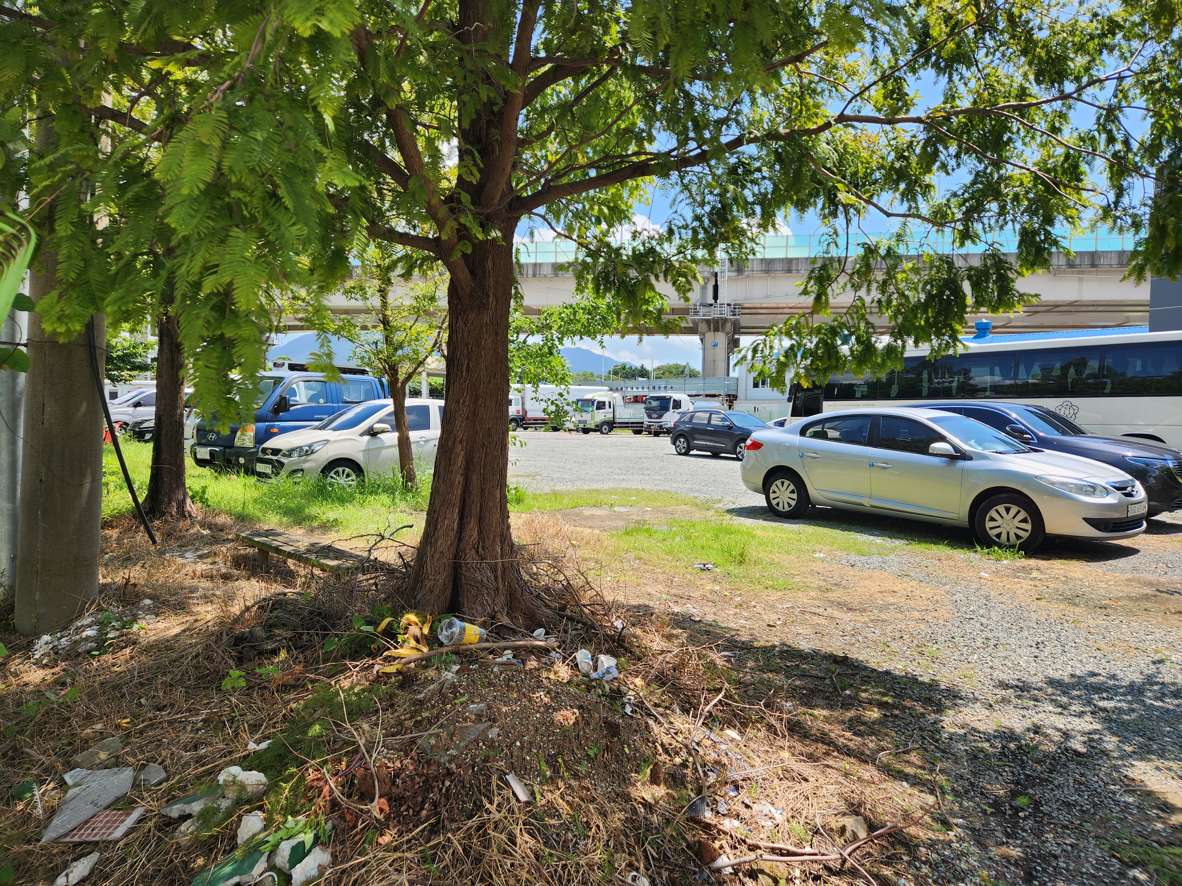 대동장터국수 무료자차장