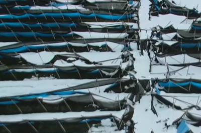 특별재난지역 선포 기준과 혜택 재난지원금 신청 방법