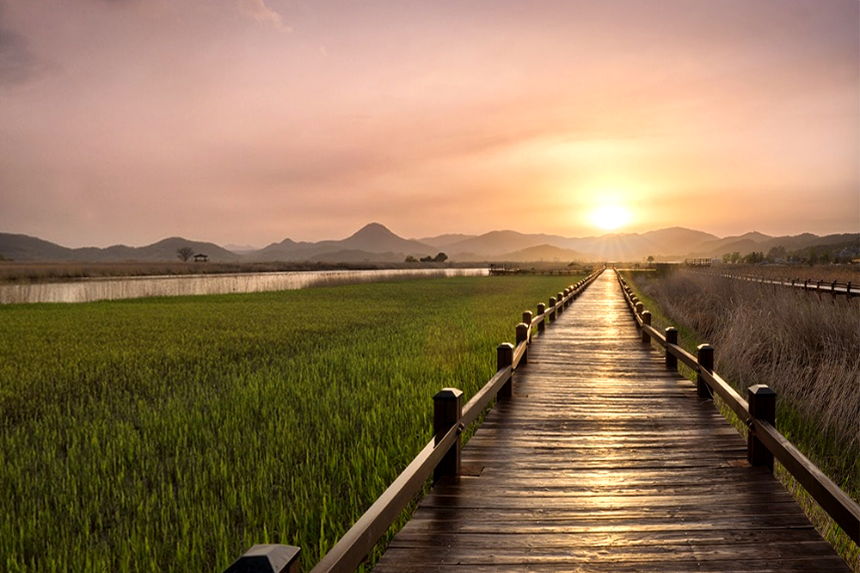 순천여행 필수 코스! 자연과 감성이 공존하는 힐링 여행지 추천