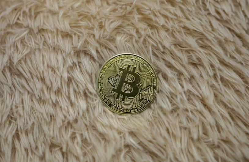 [비트코인이 내게 가르쳐준 것들 #9] 내가 노드를 이해한 날 — 세상을 움직이는 보이지 않는 손들