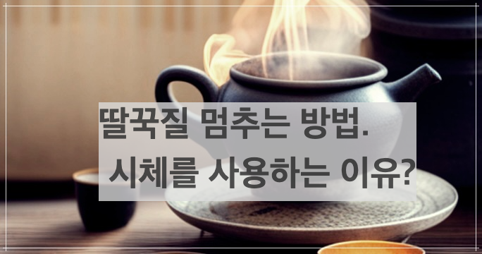 딸꾹질 멈추는 방법 시체를 사용하는 이유?