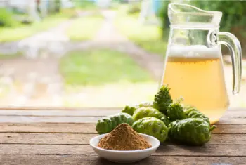 노니 효능 및 영양성분, 부작용과 주의점