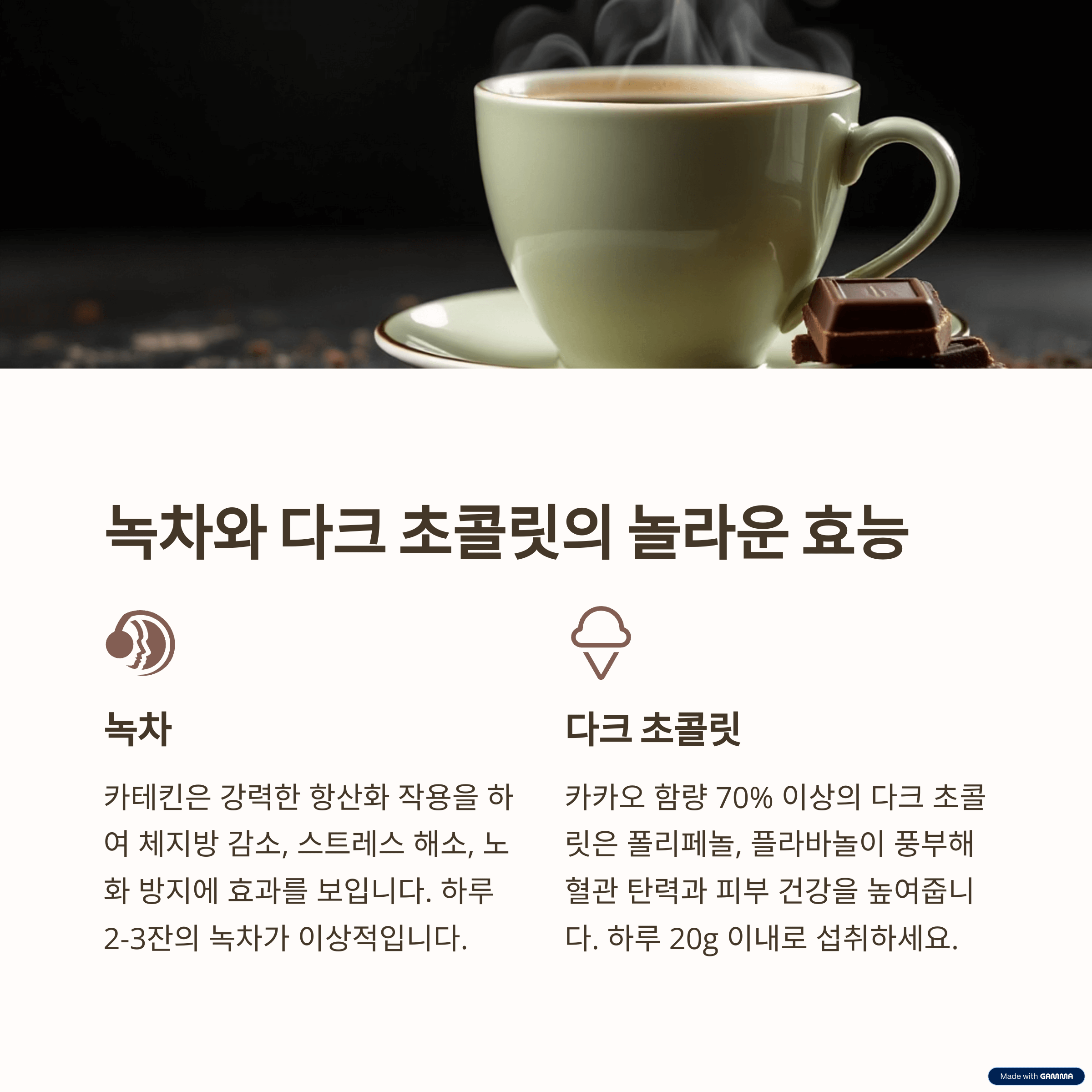 저속노화 항산화 식품 TOP 10