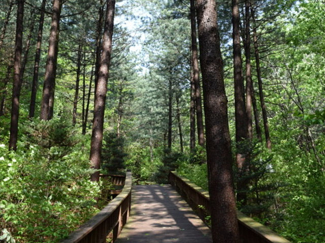 산음자연휴양림 풍경