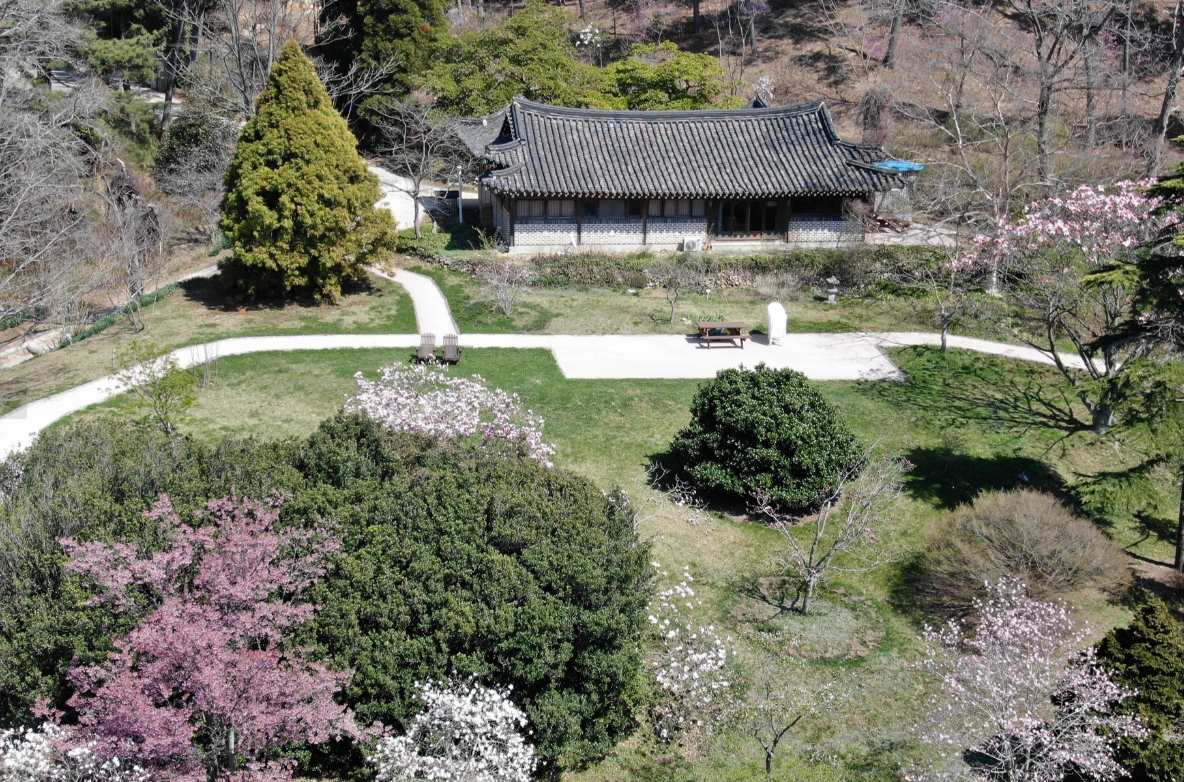 천리포수목원 봄