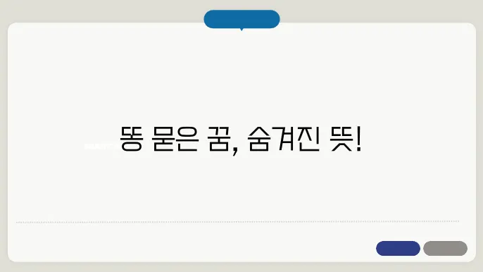 똥이 몸에 묻는 꿈 해몽