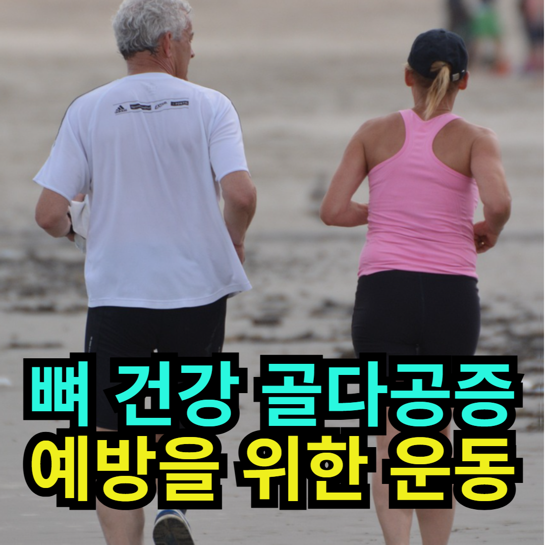 뼈 건강 골다공증 예방을 위한 운동