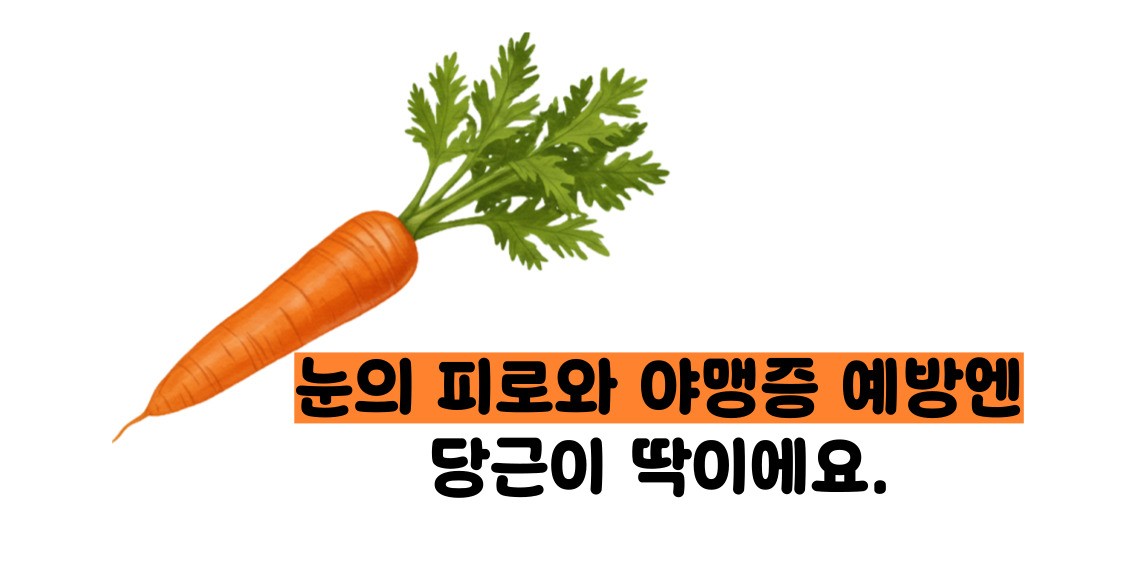 당근 효능 부작용