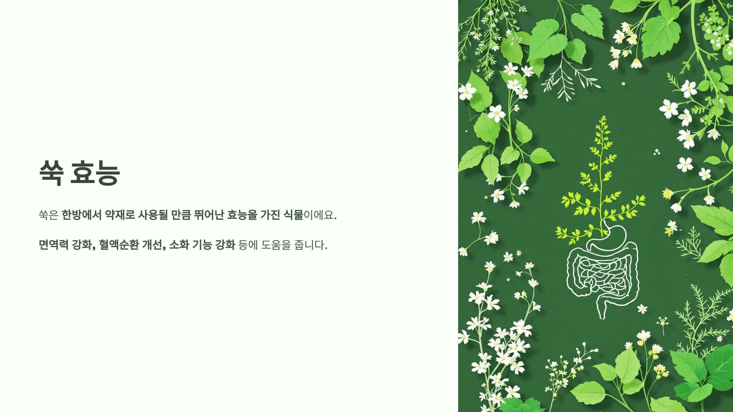 쑥 사진입니다.