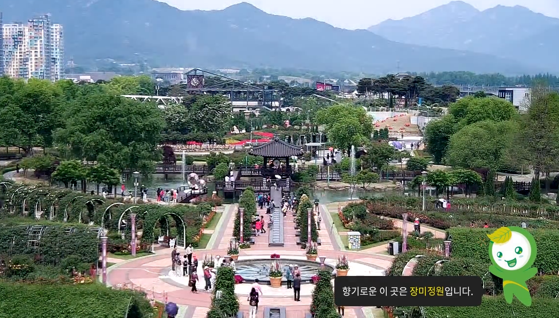 곡성세계장미축제 실시간 개화상황 확인