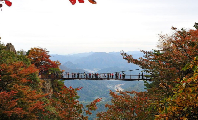 대둔산 케이블카