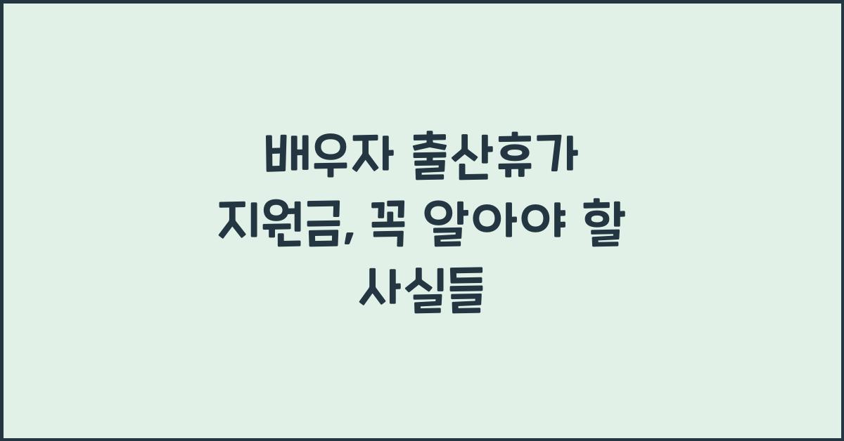 배우자 출산휴가 지원금