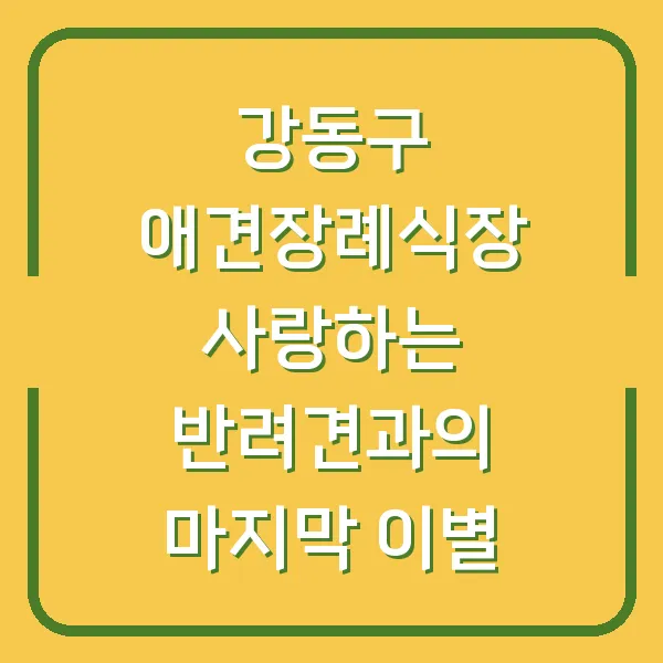 강동구 애견장례식장 사랑하는 반려견과의 마지막 이별
