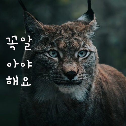 자동차 매매 계약 후 문제 발생 시 